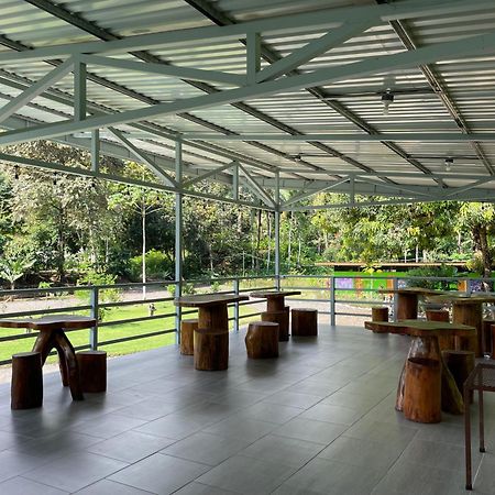 Yejos Jungle Lodge Dos Brazos Exterior photo
