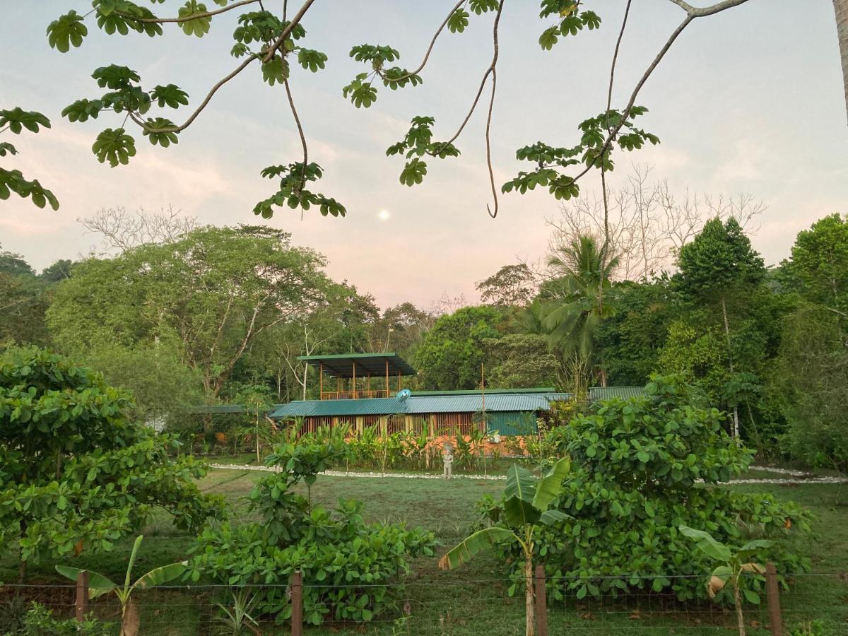Yejos Jungle Lodge Dos Brazos Exterior photo