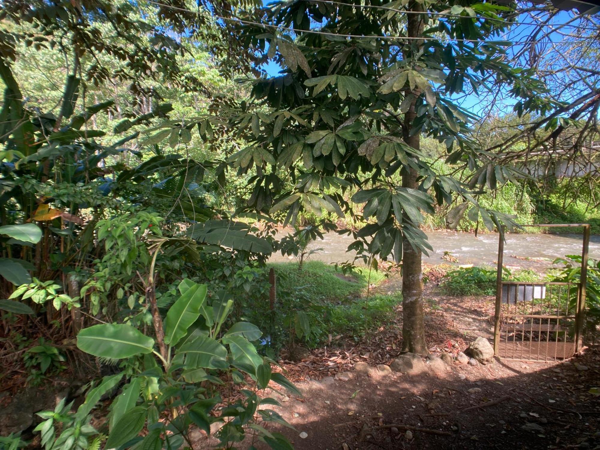 Yejos Jungle Lodge Dos Brazos Exterior photo