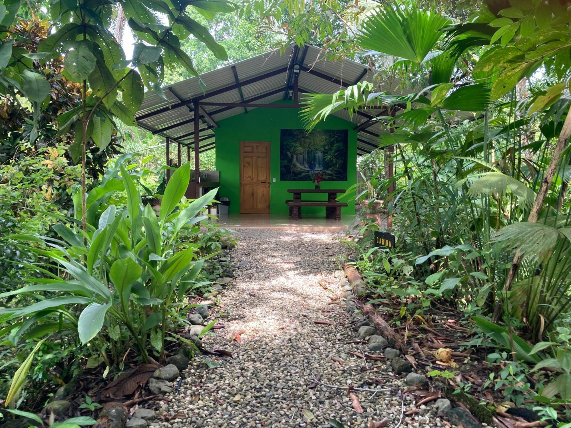 Yejos Jungle Lodge Dos Brazos Exterior photo
